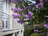 Pansion & restaurant Burin