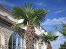 Pansion & restaurant Burin