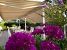 Pansion & restaurant Burin
