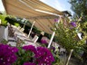 Pansion & restaurant Burin